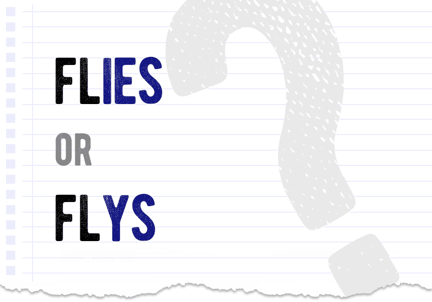 Flies Or Flys – Which Form Is Correct? What Is The Difference?