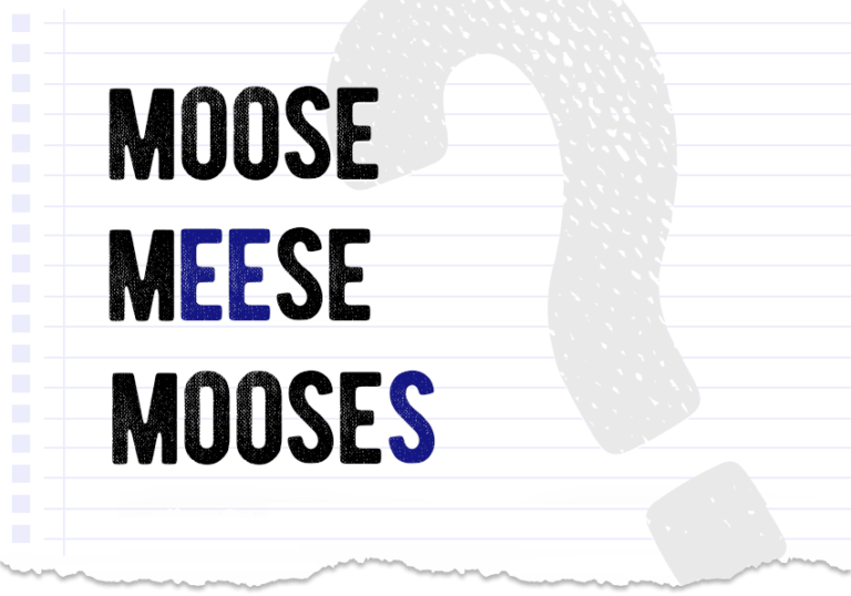 Moose, meese or mooses what is the difference? Meaning & ex…